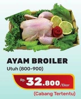 Promo Harga Ayam Broiler  - Yogya