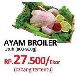 Promo Harga Ayam Broiler  - Yogya