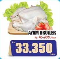 Promo Harga Ayam Broiler 500 gr - Hari Hari