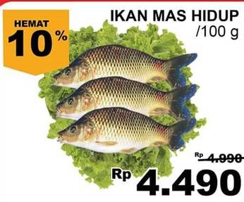 Promo Harga Ikan Mas Hidup per 100 gr - Giant