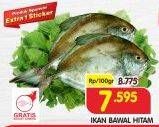 Promo Harga Ikan Bawal Hitam per 100 gr - Superindo