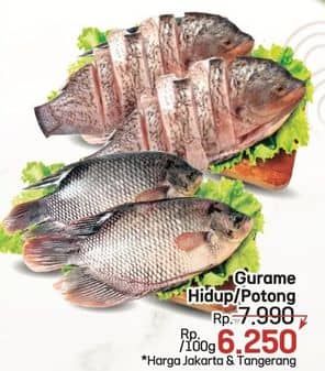 Promo Harga Ikan Gurame Hidup per 100 gr - LotteMart