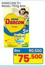 Promo Harga Dancow Nutritods 5+ Madu 800 gr - Indomaret