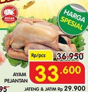 Promo Harga Ayam Pejantan  - Superindo