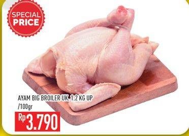 Promo Harga Ayam Broiler per 100 gr - Hypermart