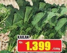 Promo Harga Kailan per 100 gr - Hari Hari