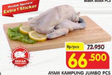 Promo Harga Ayam Kampung  - Superindo