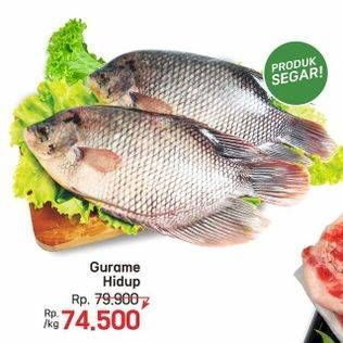 Promo Harga Ikan Gurame Hidup  - LotteMart