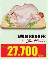 Promo Harga Ayam Broiler  - Hari Hari