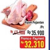 Promo Harga Ayam Pejantan 700 gr - Hypermart