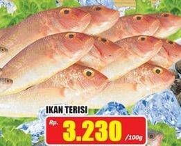 Promo Harga Ikan Terisi per 100 gr - Hari Hari