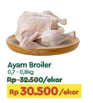 Promo Harga Ayam Broiler 700 gr - TIP TOP