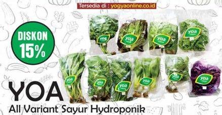 Promo Harga YOA Sayuran Segar  - Yogya