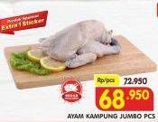 Promo Harga Ayam Kampung Jumbo  - Superindo