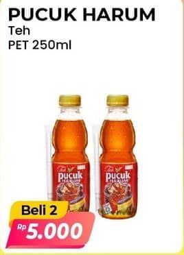 Promo Harga Teh Pucuk Harum Minuman Teh Jasmine 250 ml - Alfamart