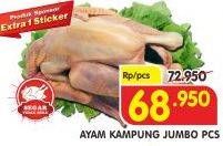 Promo Harga Ayam Kampung Jumbo  - Superindo