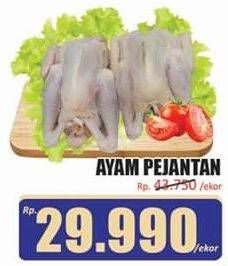 Promo Harga Ayam Pejantan 600 gr - Hari Hari