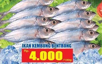 Promo Harga Ikan Kembung Bentrong per 100 gr - Hari Hari