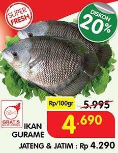 Promo Harga Ikan Gurame per 100 gr - Superindo