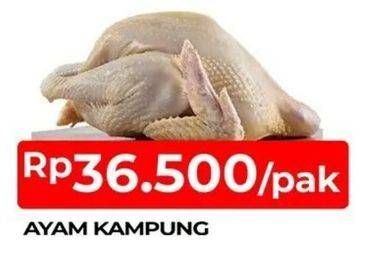 Promo Harga Ayam Kampung 700 gr - TIP TOP