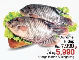 Promo Harga Ikan Gurame Hidup per 100 gr - LotteMart