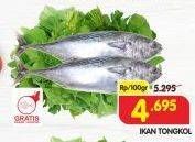 Promo Harga Ikan Tongkol per 100 gr - Superindo