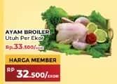 Promo Harga Ayam Broiler 900 gr - Yogya