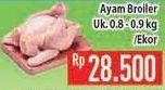 Promo Harga Ayam Broiler  - Hypermart