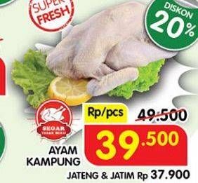 Promo Harga Ayam Kampung  - Superindo