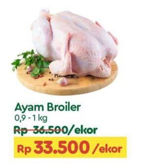 Promo Harga Ayam Broiler  - TIP TOP