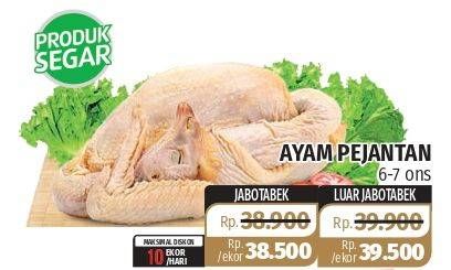 Promo Harga Ayam Pejantan 6-7ons  - Lotte Grosir