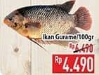 Promo Harga Ikan Gurame per 100 gr - Hypermart