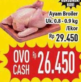 Promo Harga Ayam Broiler  - Hypermart