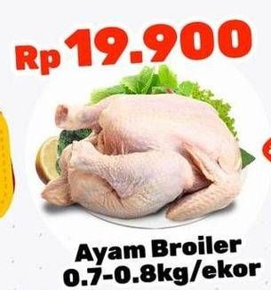 Promo Harga Ayam Broiler 700 gr - Lotte Grosir