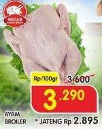 Promo Harga Ayam Broiler per 100 gr - Superindo