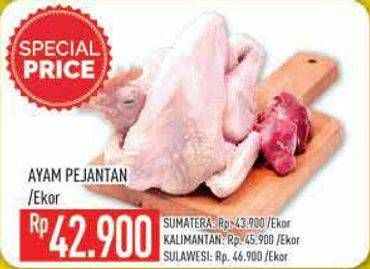 Promo Harga Ayam Pejantan  - Hypermart