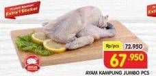 Promo Harga Ayam Kampung Jumbo  - Superindo