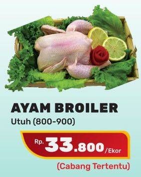 Promo Harga Ayam Broiler Utuh, Utuh 800 gr - Yogya