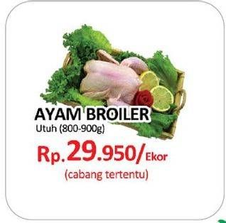 Promo Harga Ayam Broiler  - Yogya