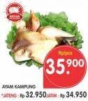 Promo Harga Ayam Kampung  - Superindo