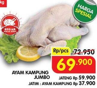 Promo Harga Ayam Kampung Jumbo  - Superindo