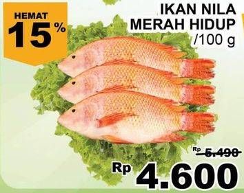 Promo Harga Ikan Nila Merah Hidup per 100 gr - Giant