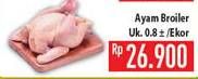 Promo Harga Ayam Broiler 800 gr - Hypermart