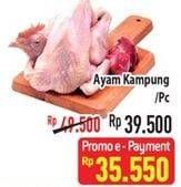 Promo Harga Ayam Kampung  - Hypermart
