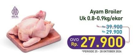 Promo Harga Ayam Broiler 800 gr - Hypermart