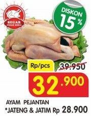 Promo Harga Ayam Pejantan  - Superindo