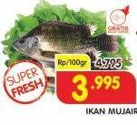 Promo Harga Ikan Mujair per 100 gr - Superindo