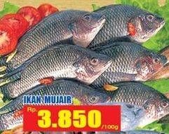 Promo Harga Ikan Mujair per 100 gr - Hari Hari