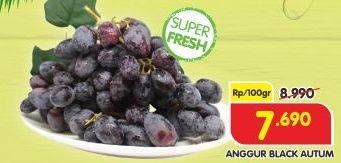 Promo Harga Anggur Black Autumn per 100 gr - Superindo