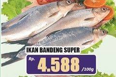Promo Harga Ikan Bandeng Super per 100 gr - Hari Hari